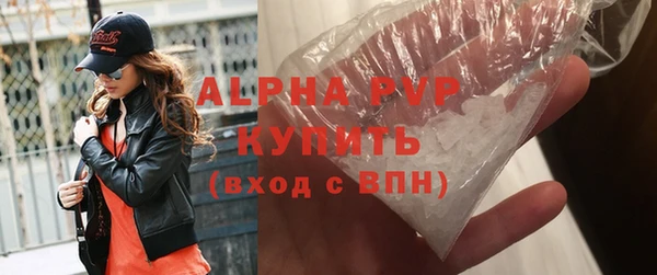 прущие грибы Новозыбков