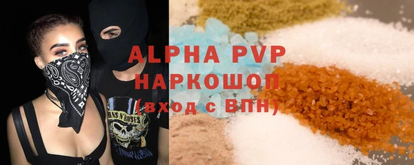 прущие грибы Новозыбков