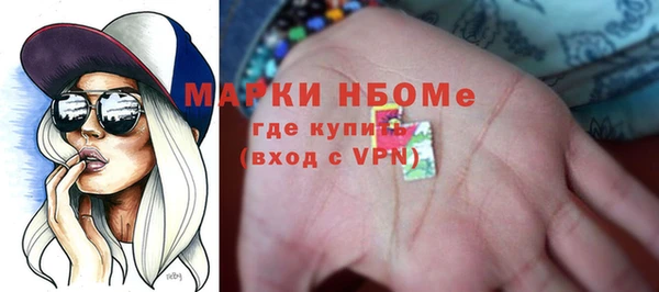 прущие грибы Новозыбков