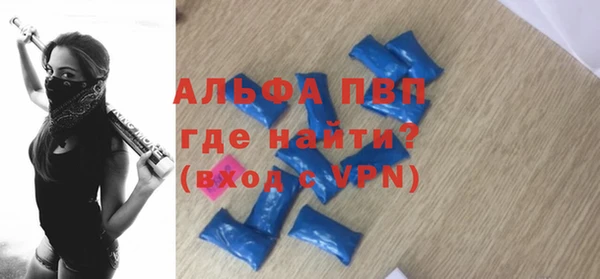 прущие грибы Новозыбков