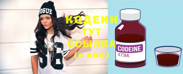 прущие грибы Новозыбков