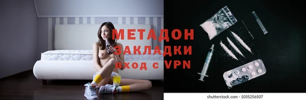прущие грибы Новозыбков
