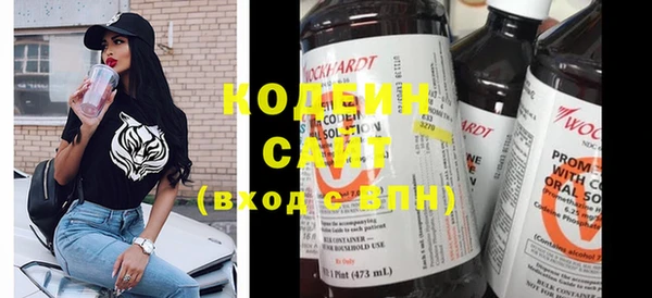прущие грибы Новозыбков