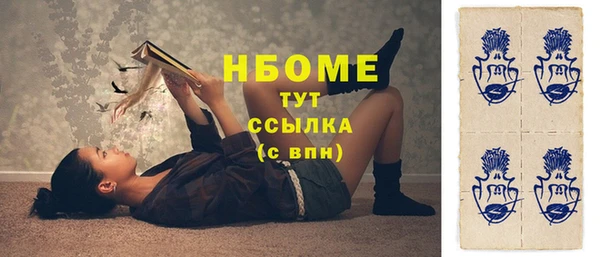 прущие грибы Новозыбков