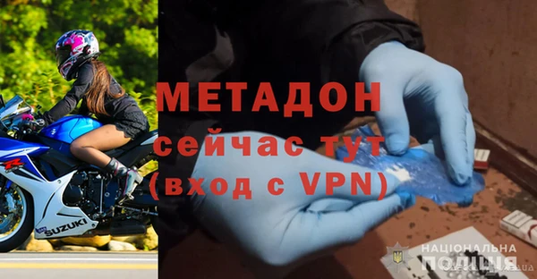 прущие грибы Новозыбков