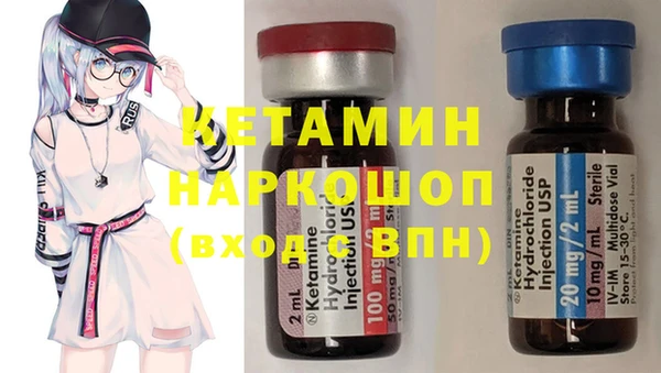 прущие грибы Новозыбков