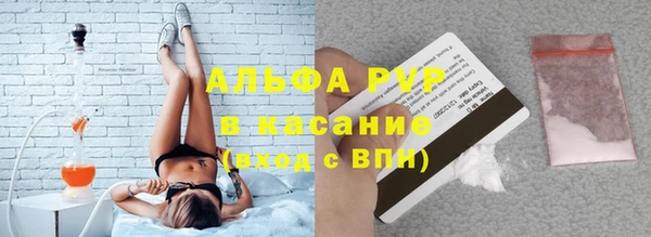 прущие грибы Новозыбков