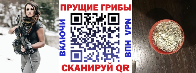 Купить  Палласовка  Псилоцибиновые грибы ЛСД 